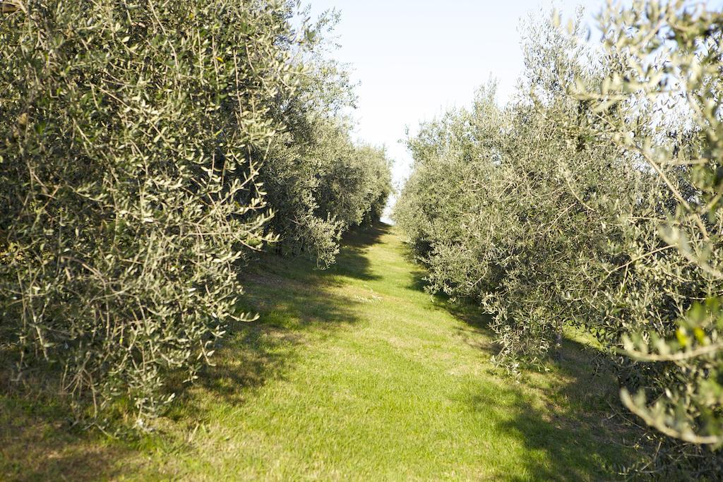 Agriturismo Marani * Arcugnano